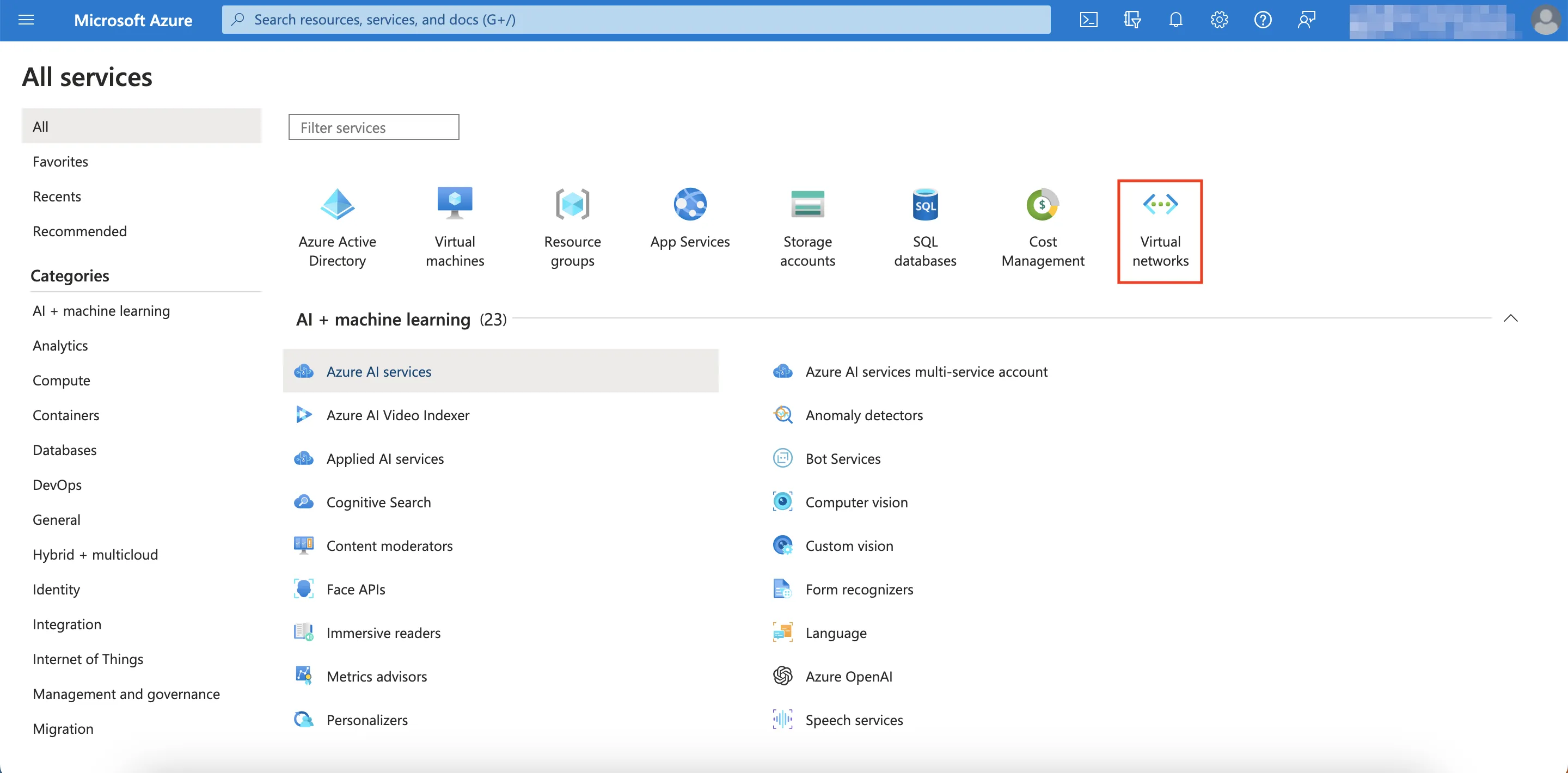 Virtual Networks Service Option